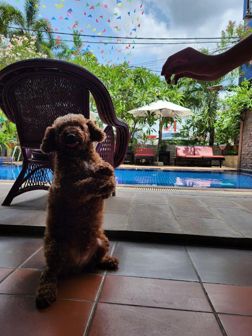 Jasmine alojamiento Ciudad de Siem Riep Exterior foto